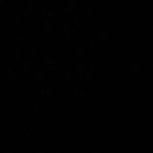 Meet your Posher, Jayda